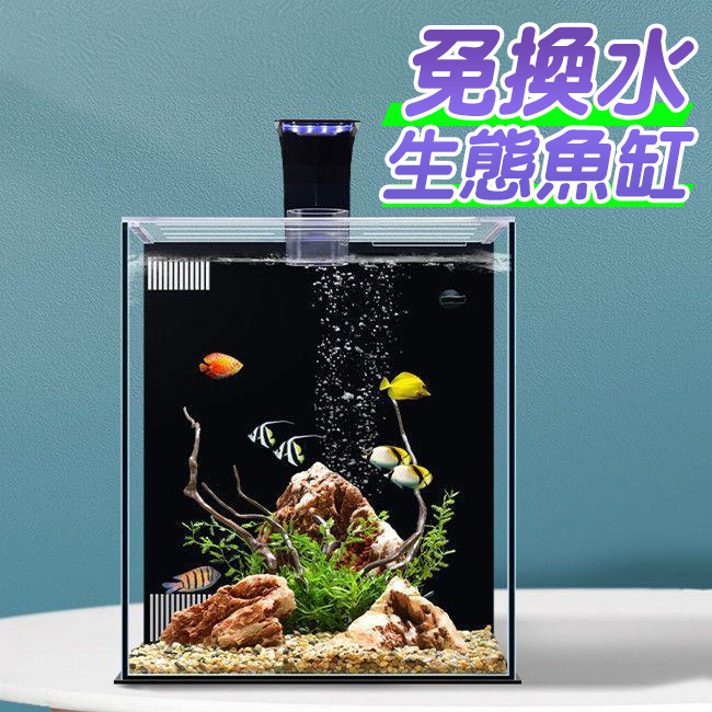 免換水生態魚缸 含過濾及造景 沉木造景魚缸套餐 海水魚缸 金魚缸 水草缸