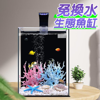 免運費 生態魚缸 含過濾及造景 海景造景魚缸套餐 海水魚缸 金魚缸 水草缸