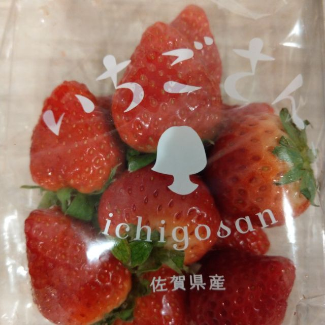 日本草莓.草莓苗  佐賀 草莓小姐(いちごさん) 草莓種子
