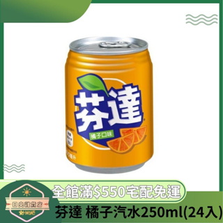 【日央雜貨店】蝦皮代開發票 芬達 橘子汽水易開罐250ml 24入 公司必備 橘子芬達 迷你小容量 不含人工香料 汽水