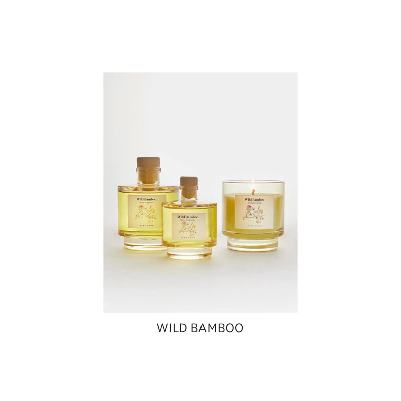 🫧售完不補貨🫧 ZARA HOME▪️擴香系列▪️-Wild bamboo 200ml