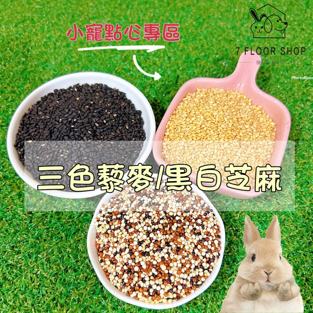 【現貨+發票】兔子零食 三色藜麥 黑芝麻 白芝麻 小寵零食 寵物零食