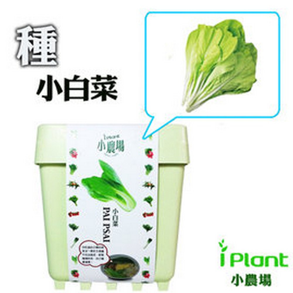 【橘子田】iPlant小農場~小白菜