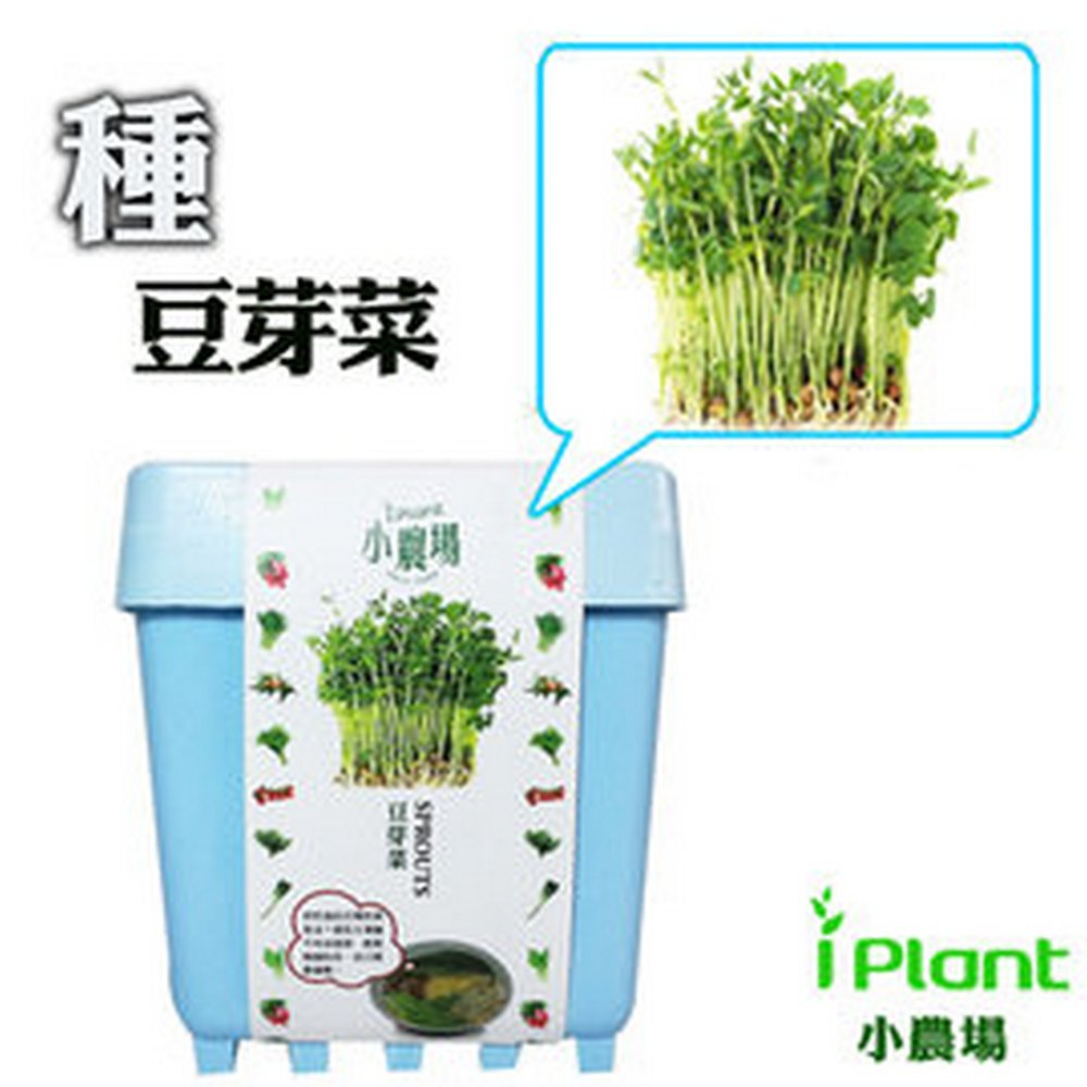 【橘子田】iPlant小農場~豆芽菜