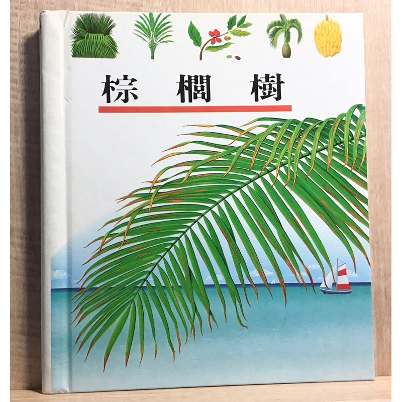 理科出版社 第一個發現 「48棕櫚樹」透明片 科普書籍 精裝童書
