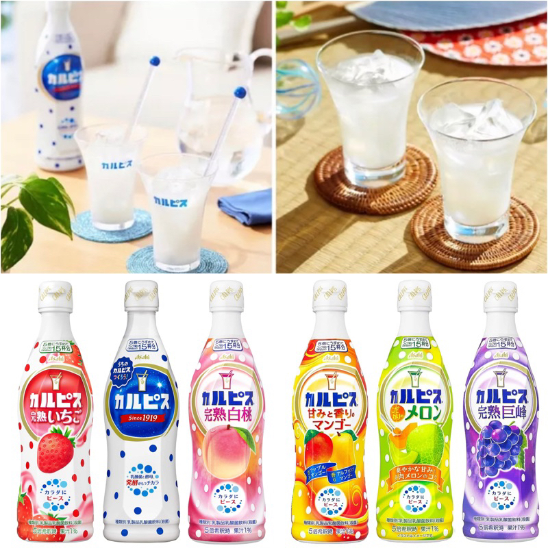 【貓咪姐妹 】日本 calpis 可爾必思 濃縮5倍可爾必思 乳酸菌飲料 乳酸菌 水蜜桃乳酸菌 葡萄乳酸菌 芒果乳酸菌