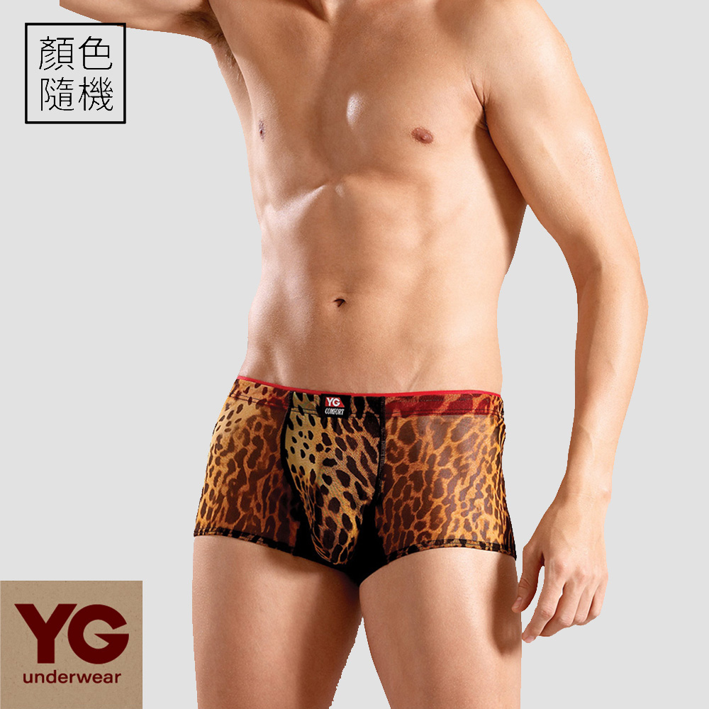 【YG】豹紋萊卡彈性低腰平口褲-SYS023