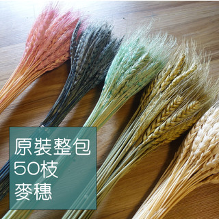 My Wonderful 原裝整包50枝【小麥／稻穗／麥穗】天然乾燥花材DIY／網美拍照道具