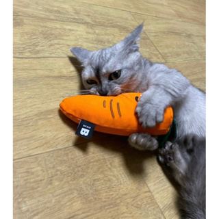 🇰🇷韓國 BITE ME 🐱🥇濟州紅蘿蔔🥕貓咪玩具🐱🐱 BITE ME 濟州紅蘿蔔｜木天蓼玩具 造型玩具貓狗玩具