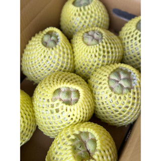 ⭐️大目釋迦sugar apple ⭐️臺東太麻里自產自銷👍🏻中果 5-10斤💯免運