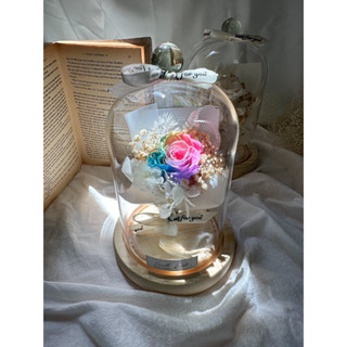 玻璃燈罩 永生花 玫瑰花 乾燥花 畢業花束 花束 情人節 生日 禮物畢業 康乃馨 伴娘禮 捧花 婚禮小物 乾燥花燈罩