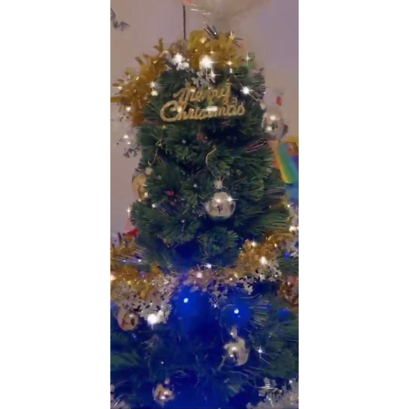 二手聖誕樹🎄150公分（請勿直接下單）