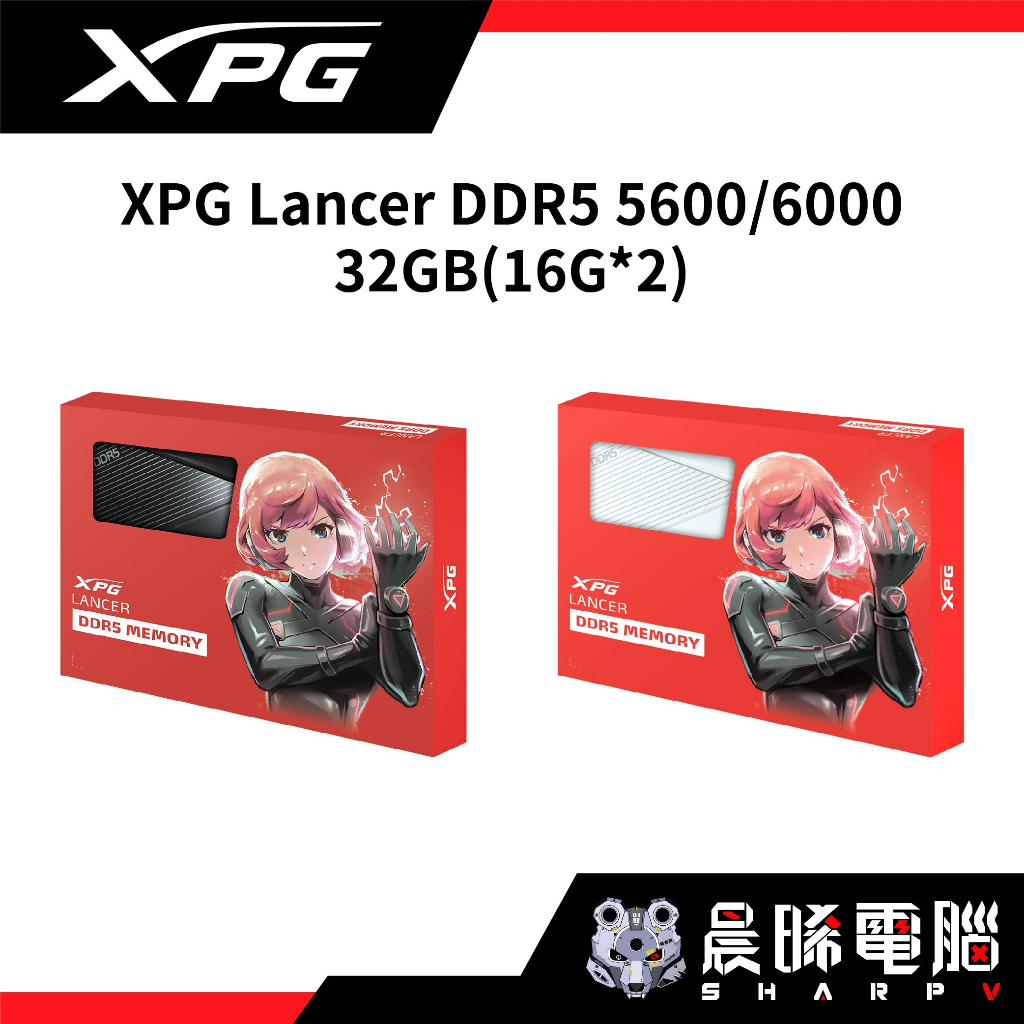 【熊專業】威剛 XPG Lancer DDR5 5600 6000 32GB(16Gx2)