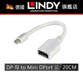 LINDY 轉接器 MINI DISPLAYPORT 公 TO DISPLAYPORT 母 轉接器 20公分 41021