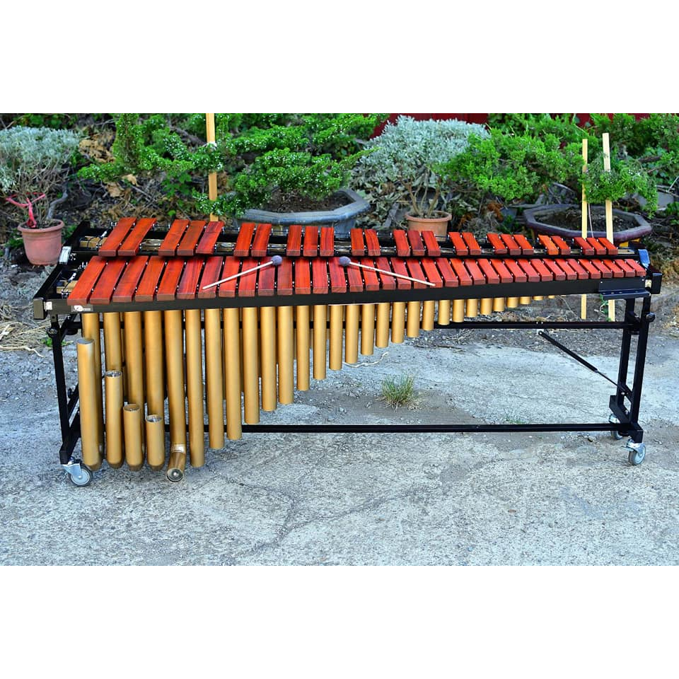 〔梯子樂器｜LITSOU〕可開發票 MIT台灣製造 木琴工廠直營 全新61鍵馬林巴木琴