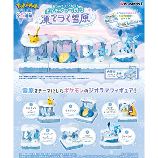 【挖寶盒】Re-MeNT 精靈寶可夢擴充套件世界P3 極凍雪原篇 盒玩 整套6款