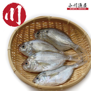 小川漁屋 極鮮野生肉魚6包（600g/包/4-6尾）