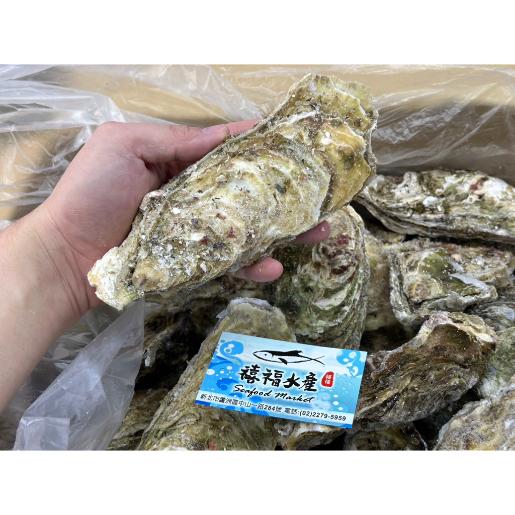 【禧福水產】獨家日本超超大鮮凍生食級生蠔/帶殼牡蠣◇$199元/顆◇最低價團購熱炒日本料理燒烤餐廳居酒屋令和怪物樁岩牡蠣