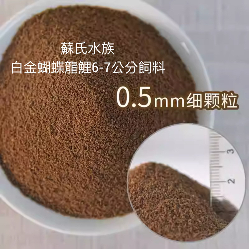 蘇氏水族-白金蝴蝶龍鯉6-7公分飼料