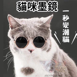 貓墨鏡 貓咪太陽眼鏡 貓咪眼睛 貓咪變裝 貓咪墨鏡 貓咪造型 貓裝飾品