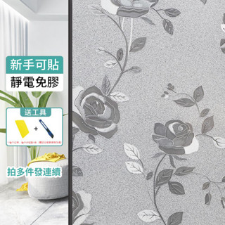 可開發票24H 🌈玻璃貼 無膠靜電玻璃窗貼 玻璃貼紙 磨砂窗貼 玻璃貼紙 隔熱紙 玻璃紙 霧面毛玻璃 靜電玻璃貼 磨砂貼