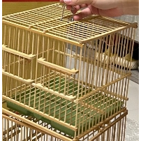(全新)鳥籠/中竹籠/方形籠/～適合綠繡眼、小型鳥、觀賞鳥、寵物鳥、野鳥(附飼料杯、水杯、底盤、站棍)