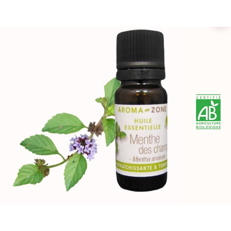 【精油】有機 日本薄荷 精油 又稱野薄荷精油 原裝10ml 30ml〈法國Aroma-Zone〉【余老師手工皂創意工坊】