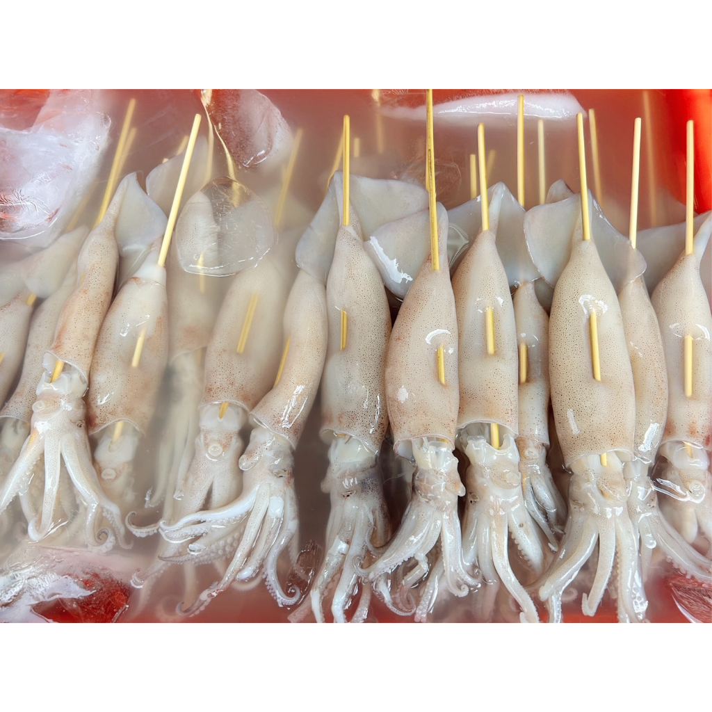 工廠直營❗❗挑戰最低價❗❗魷品味｜露營必備｜新鮮三去魷魚｜可單串購買｜多種規格｜中秋｜夜市｜烤肉｜串燒｜🦑