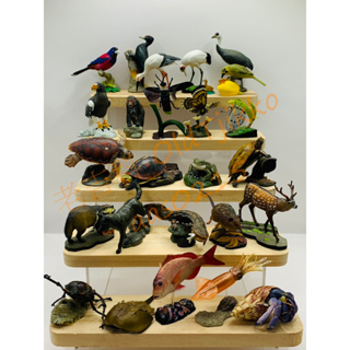 🌸老吉科🍀日本絕版 海洋堂 2002年 週刊 日本の天然記念物 立体動物模型 鳥類 昆蟲 魚類 哺乳類 擬真動物 公仔