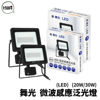 Dancelight 舞光 LED 20W 30W 微波感應泛光燈 智慧 防水 感應 投光燈 泛光燈 戶外 IP66