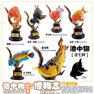 【MOVE】 (現貨) 博物志 池中物 國風魚 第一彈 金魚 錦鯉 羅漢 雷龍 龍魚 模型 公仔 盒玩 手辦 隱藏款