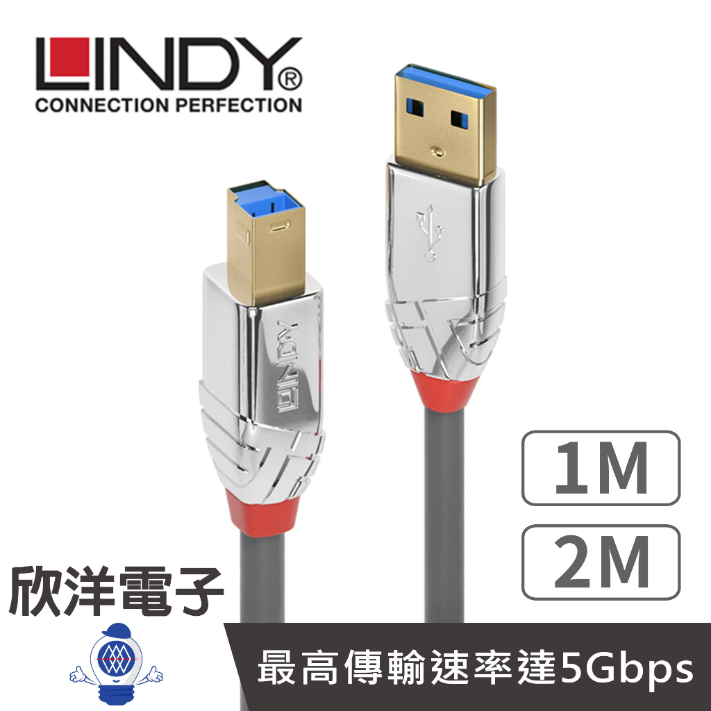 LINDY林帝 USB3.0線 Type-A對B USB3.0 TYPE-A 公 TO TYPE-B 公 傳輸線