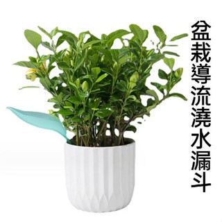 現貨 盆栽樹葉型導流澆水器 2入 樹葉形狀 加長導水管 植物引流澆花器澆水器 澆花神器 多肉觀葉【A-15769】大廣