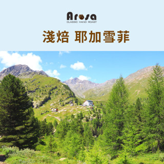 [Arosa阿洛薩] 耶加雪菲 淺焙 咖啡豆/耳掛式盒 咖啡 水洗 SCA 國際 專業烘焙師
