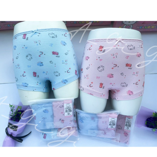 【皮爾卡登】女童貓咪平口內褲 中小童內褲 2件組 台灣製 棉質 少女 線條圖案pierre cardin🐥A_GiGi🐥
