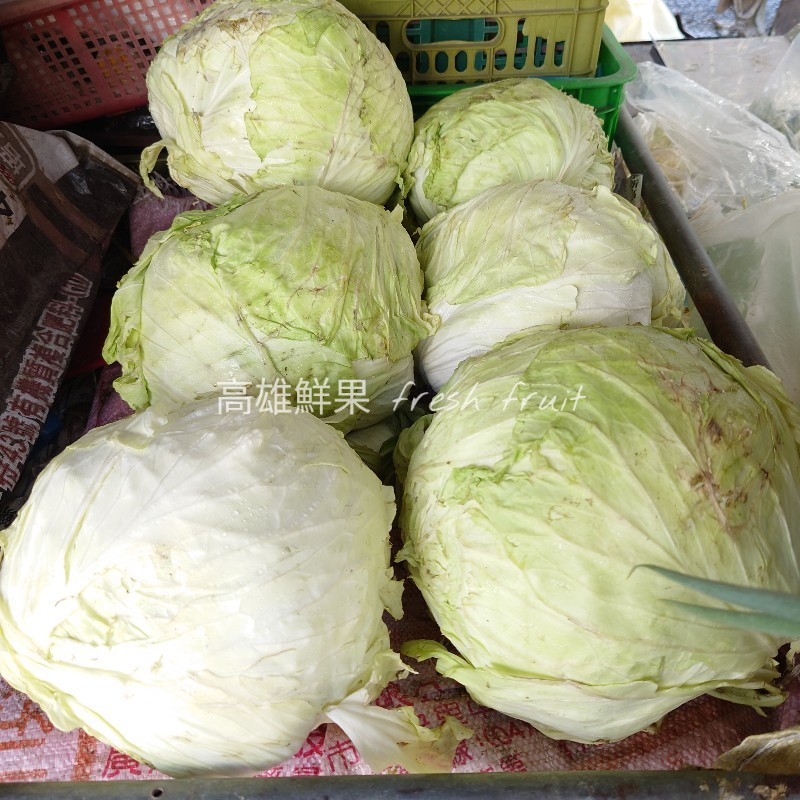 【高雄鮮果】高山高麗菜一斤-鮮甜口感 台灣在地 蔬菜水果