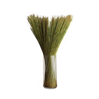 【IKEHIKO日本池彥】 原生藺草束【Grass-Object】 真實藺草面貌 懶人植物美學 消除臭味的美感擺飾