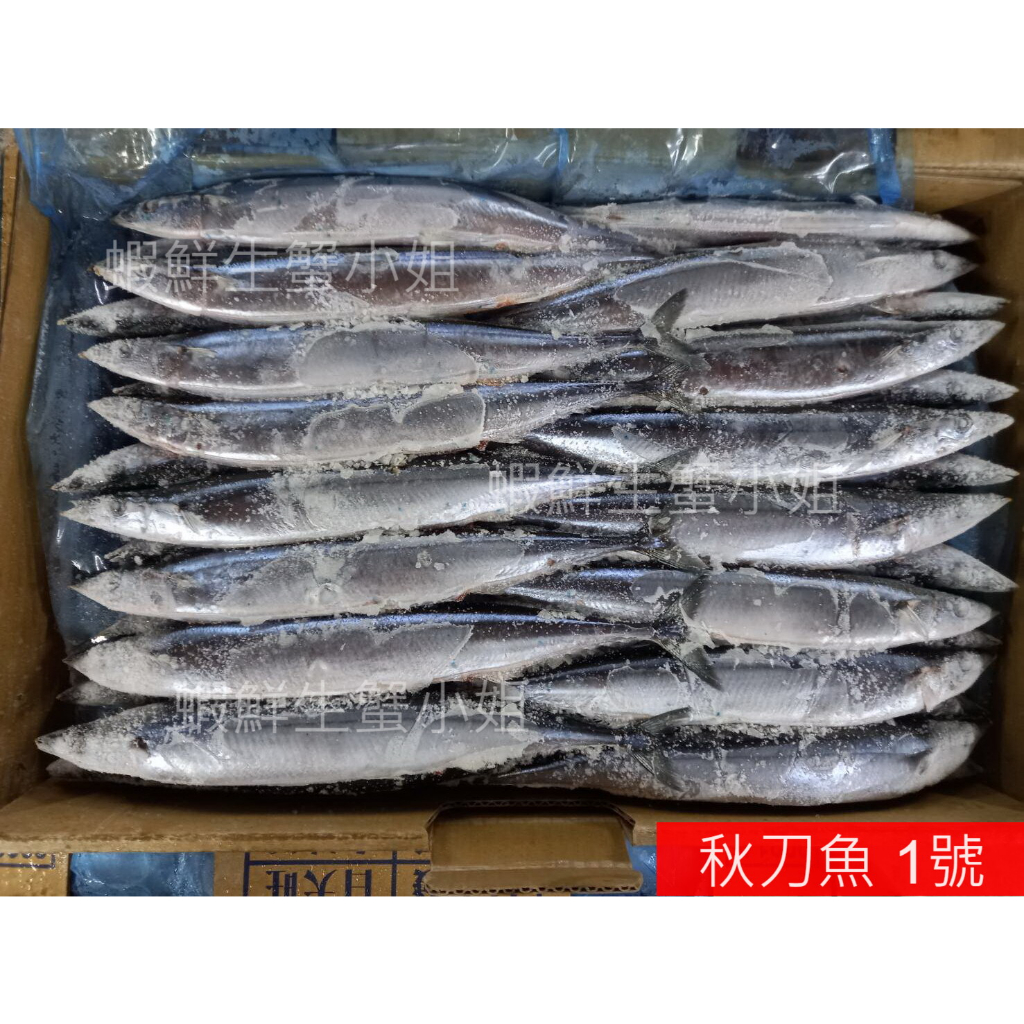 【海鮮7-11】秋刀魚 1號 9K/箱 🚩秋刀魚有豐富的天然油脂，烹調時不需要再用油。**單箱1900元**