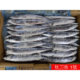 【海鮮7-11】秋刀魚 1號 9K/箱 🚩秋刀魚有豐富的天然油脂，烹調時不需要再用油。**單箱2000元**