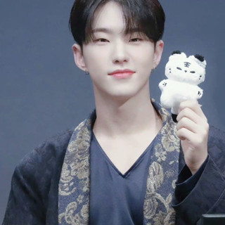 2款 Seventeen 奶糖虎 虎倉 Hoshi 權順榮同款玩偶娃娃 吊飾 鑰匙圈 掛件 老虎 倉鼠