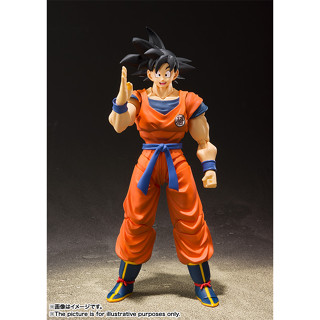 【玩模收藏】正版現貨 S.H.F 七龍珠Z 孫悟空 地球上的賽亞人 / SHF S.H.Figuarts 可動模型