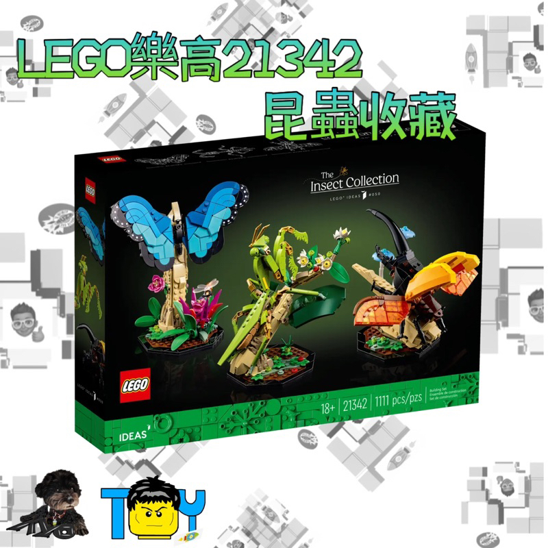 @玩具頭頭@《缺貨中不要直接下單》LEGO樂高21342昆蟲收藏 大兜蟲