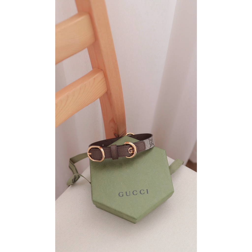 Gucci 寵物項圈
