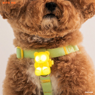 【nunugo奴奴狗】閃閃熊LED散步燈(充電式)｜韓國Bite Me 寵物散步燈 散步必備 夜間散步燈 三段亮燈模式