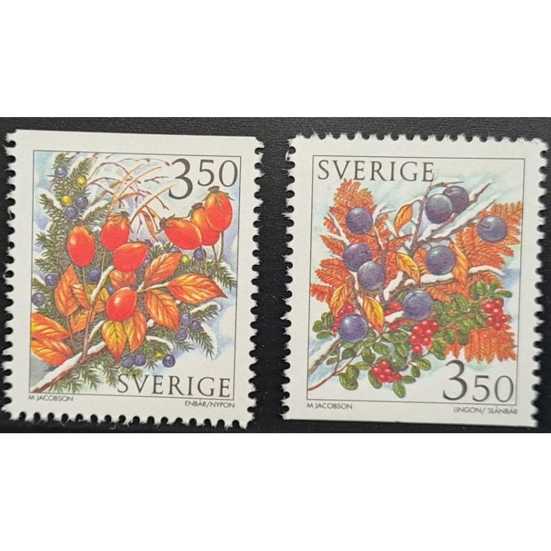 瑞典郵票冬季薔薇漿果玫瑰果郵票1996年1月2日斯德哥爾摩發行特價