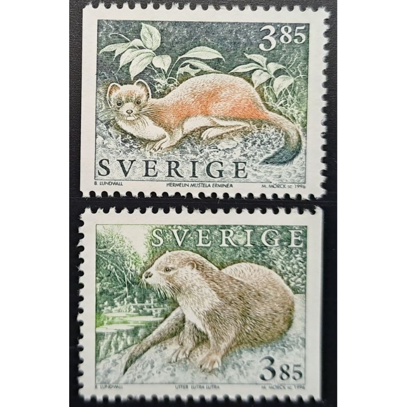 瑞典動物郵票白鼬Mustela Erminea郵票水獺Lutra郵票1996年1月2日斯德哥爾摩發行特價