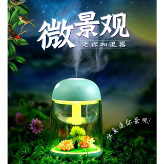 永生花加濕器水氧機 靜音香薰機 微景觀七彩小夜燈 便攜式家用淨化加濕器 USB迷你充電香薰燈 擴香儀香氛機 家居擺件