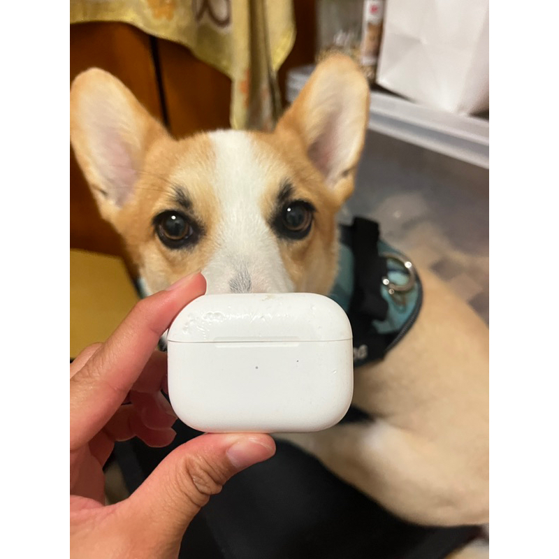 二手原廠AirPod pro功能正常被小狗咬爛