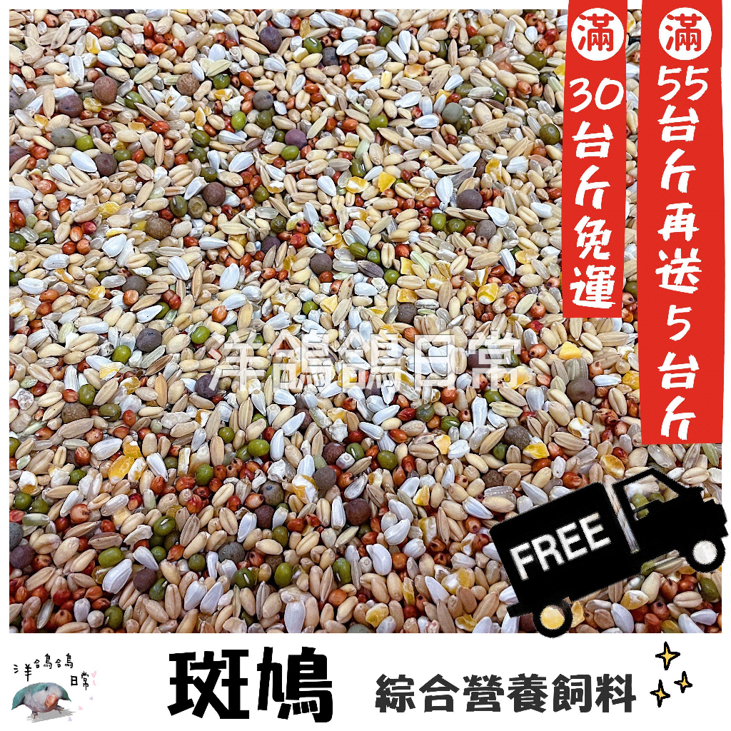 ［30台斤免運/55台斤免運再送5台斤 下單區］《斑鳩專用綜合營養飼料》斑鳩飼料、鴿子綜合飼料、幼鴿飼料、鳥飼料、斑鳩鳥