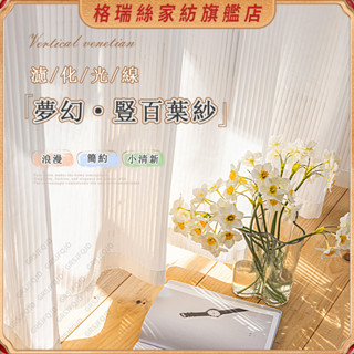 窗簾 紗簾 加厚白紗 白紗窗簾 薄窗紗 透光不透人 白色紗簾 小清新窗紗 透光窗簾紗 半遮光 落地窗